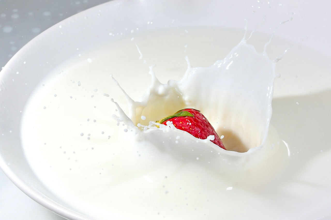 Bulk Milk Powder Exporter — SMP, WMP, UHT Milk, Butter & Whey Protein