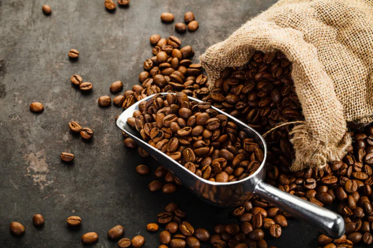 Coffee Suppliers